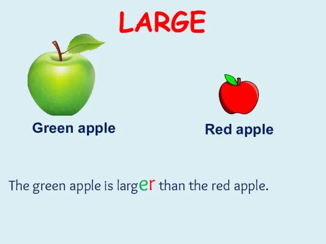 Green apple Red apple The green apple is larger than the red apple. LARGE