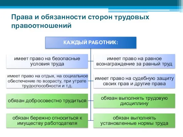 Права и обязанности сторон трудовых правоотношений