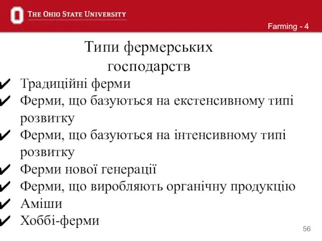 Традиційні ферми Ферми, що базуються на екстенсивному типі розвитку Ферми, що