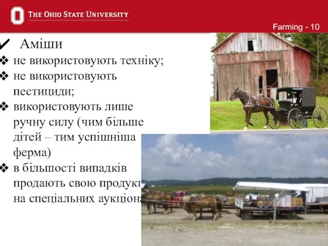 Аміши не використовують техніку; не використовують пестициди; використовують лише ручну силу