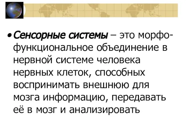 Сенсорные системы – это морфо-функциональное объединение в нервной системе человека нервных