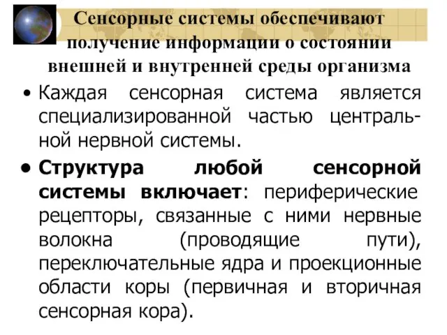 Сенсорные системы обеспечивают получение информации о состоянии внешней и внутренней среды