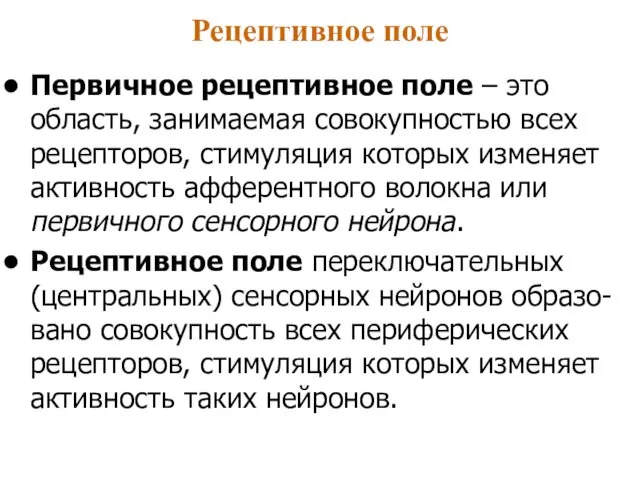 Рецептивное поле Первичное рецептивное поле – это область, занимаемая совокупностью всех