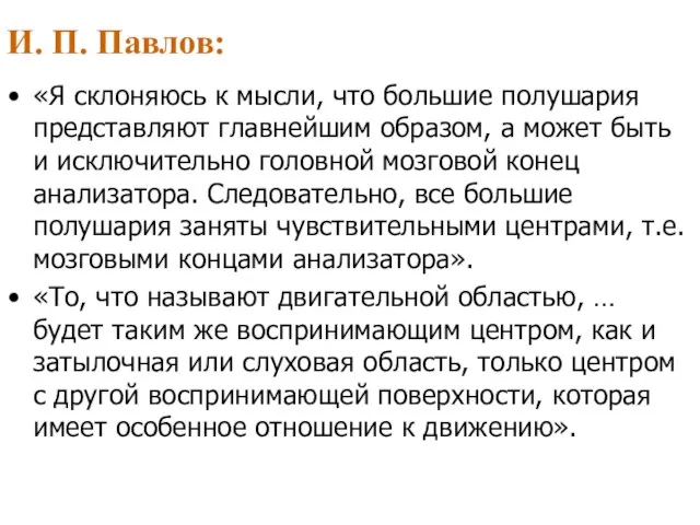 И. П. Павлов: «Я склоняюсь к мысли, что большие полушария представляют