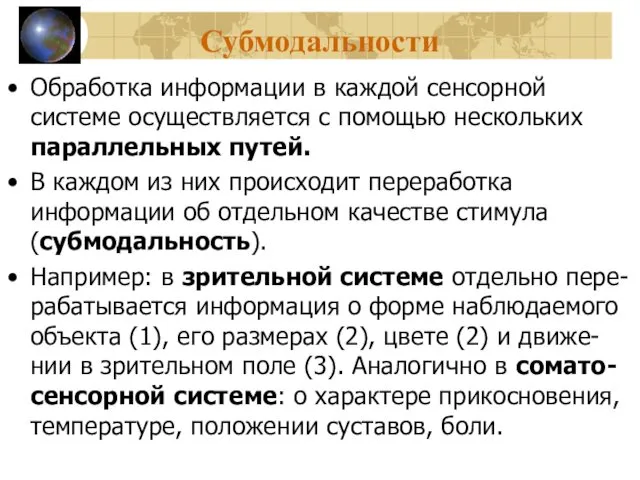 Субмодальности Обработка информации в каждой сенсорной системе осуществляется с помощью нескольких