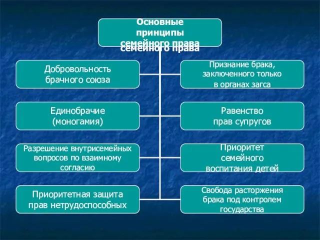 Основные принципы семейного права