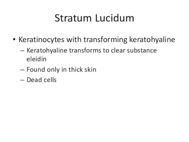 Stratum Lucidum Keratinocytes with transforming keratohyaline Keratohyaline transforms to clear substance