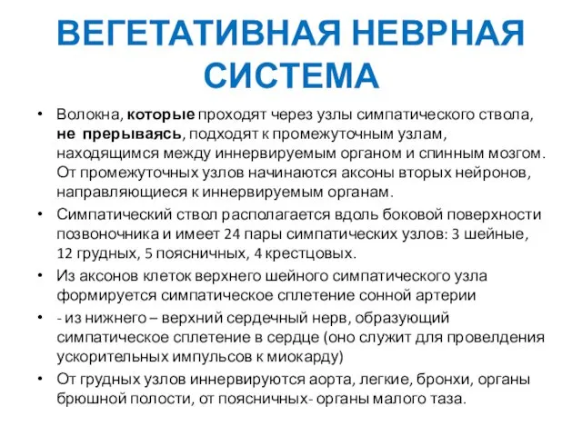 ВЕГЕТАТИВНАЯ НЕВРНАЯ СИСТЕМА Волокна, которые проходят через узлы симпатического ствола, не