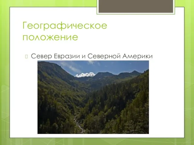 Географическое положение Север Евразии и Северной Америки