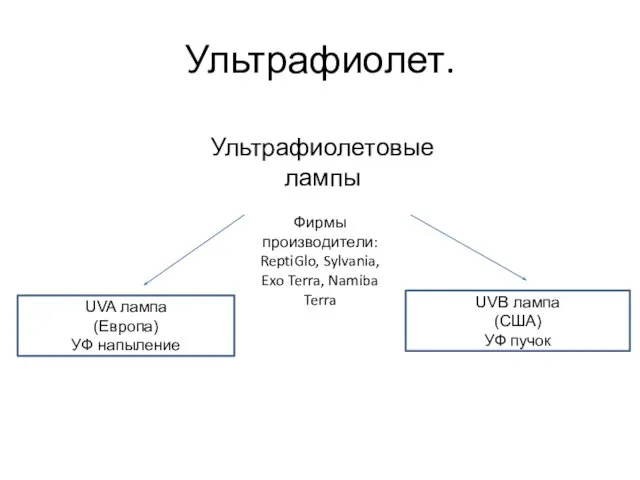 Ультрафиолет. Ультрафиолетовые лампы UVA лампа (Европа) УФ напыление UVB лампа (США)