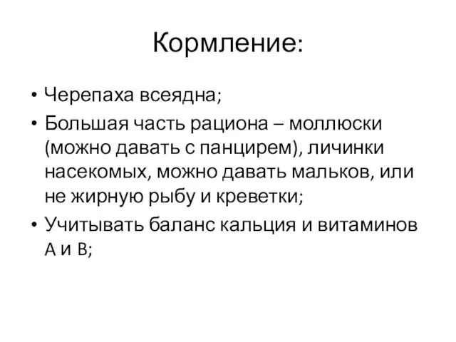 Кормление: Черепаха всеядна; Большая часть рациона – моллюски (можно давать с