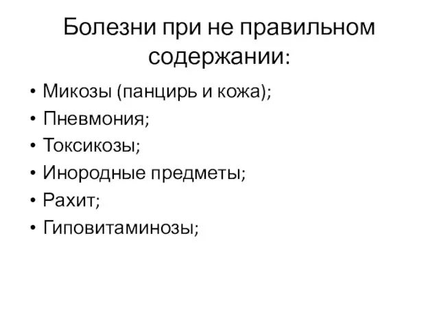 Болезни при не правильном содержании: Микозы (панцирь и кожа); Пневмония; Токсикозы; Инородные предметы; Рахит; Гиповитаминозы;