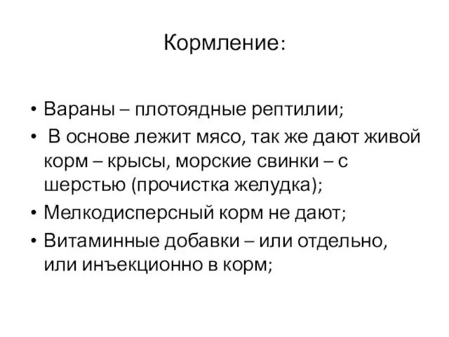 Кормление: Вараны – плотоядные рептилии; В основе лежит мясо, так же