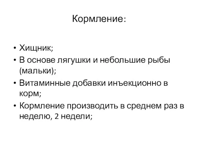 Кормление: Хищник; В основе лягушки и небольшие рыбы (мальки); Витаминные добавки