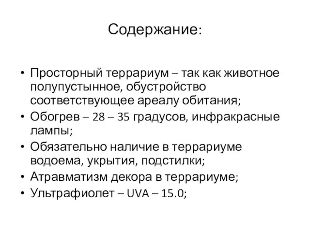 Содержание: Просторный террариум – так как животное полупустынное, обустройство соответствующее ареалу