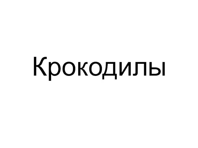 Крокодилы