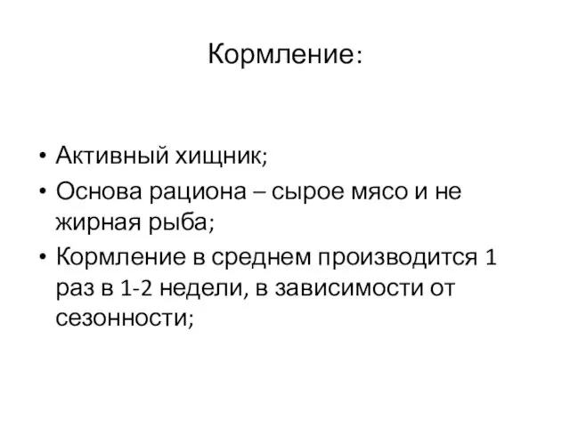 Кормление: Активный хищник; Основа рациона – сырое мясо и не жирная