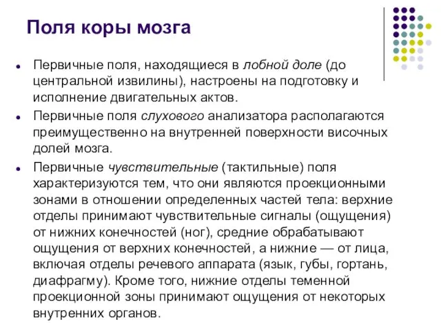 Поля коры мозга Первичные поля, находящиеся в лобной доле (до центральной