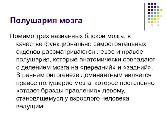 Полушария мозга Помимо трех названных блоков мозга, в качестве функционально самостоятельных