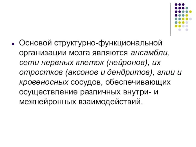 Основой структурно-функциональной организации мозга являются ансамбли, сети нервных клеток (нейронов), их