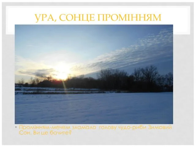 УРА, СОНЦЕ ПРОМІННЯМ Промінням-мечем зламало голову чудо-риби Зимовий Сон. Ви це бачите?