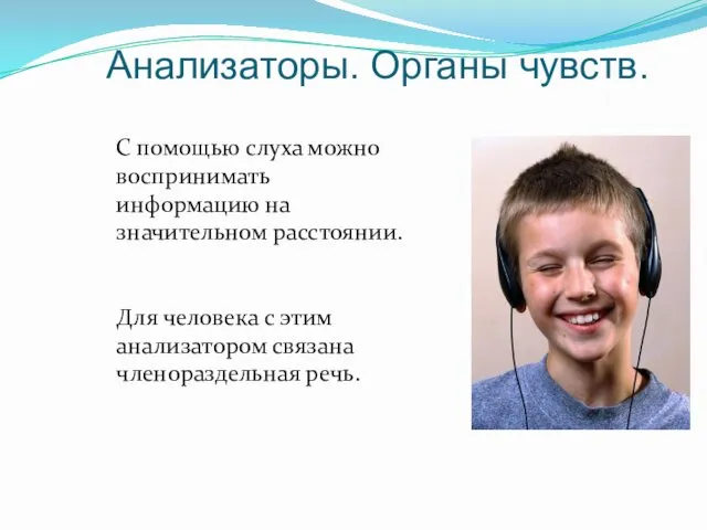 Анализаторы. Органы чувств. С помощью слуха можно воспринимать информацию на значительном