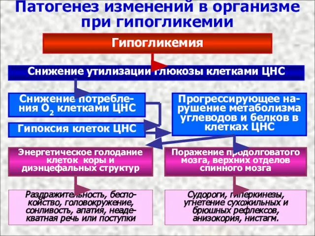 Патогенез изменений в организме при гипогликемии Гипогликемия Снижение утилизации глюкозы клетками