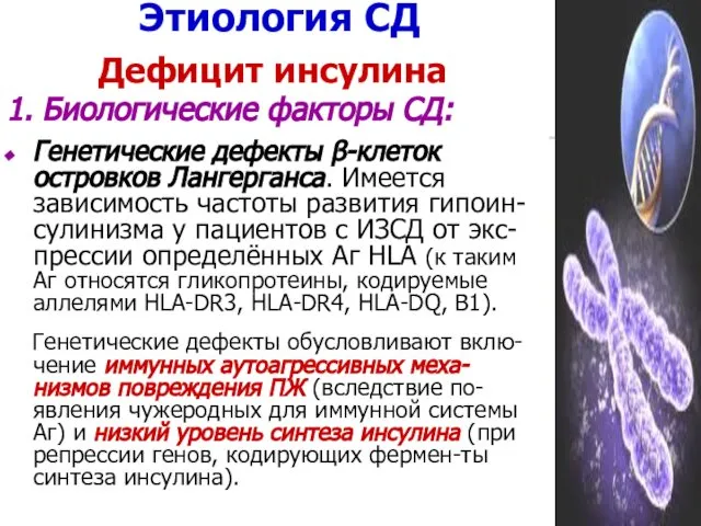 Этиология СД Дефицит инсулина 1. Биологические факторы СД: Генетические дефекты β-клеток