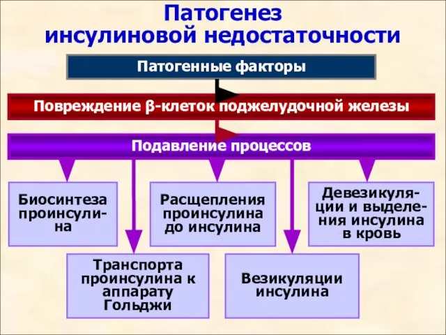 Патогенез инсулиновой недостаточности