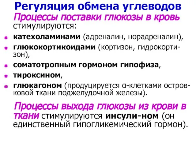 Регуляция обмена углеводов Процессы поставки глюкозы в кровь стимулируются: катехоламинами (адреналин,