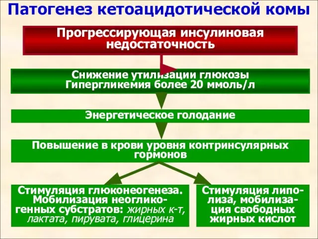 Патогенез кетоацидотической комы Прогрессирующая инсулиновая недостаточность Снижение утилизации глюкозы Гипергликемия более