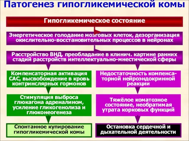 Патогенез гипогликемической комы Гипогликемическое состояние Энергетическое голодание мозговых клеток, дезорганизация окислительно-восстановительных