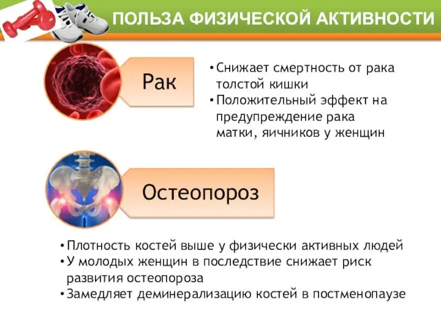 Снижает смертность от рака толстой кишки Положительный эффект на предупреждение рака