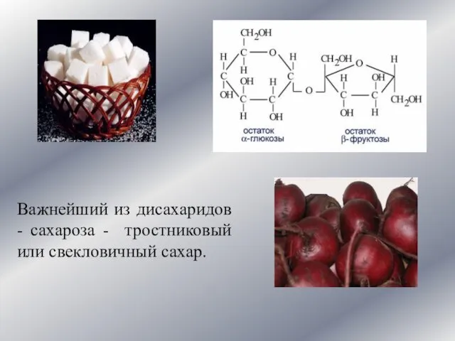 Важнейший из дисахаридов - сахароза - тростниковый или свекловичный сахар.
