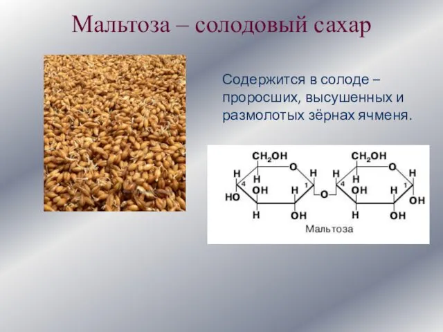 Мальтоза – солодовый сахар Содержится в солоде – проросших, высушенных и размолотых зёрнах ячменя.