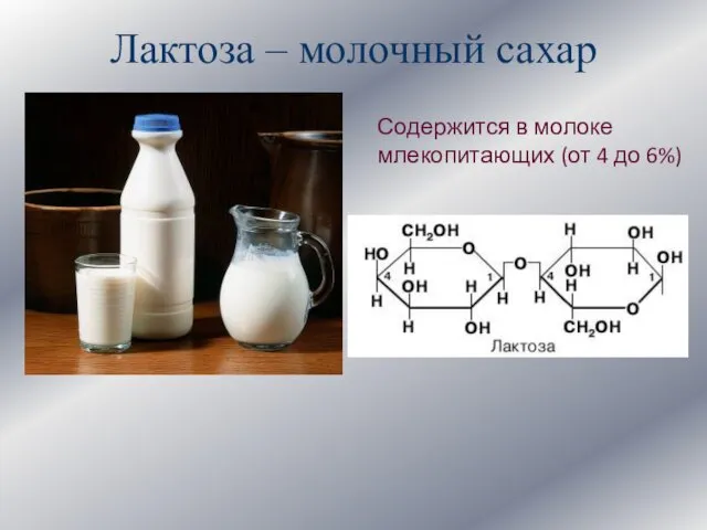 Лактоза – молочный сахар Содержится в молоке млекопитающих (от 4 до 6%)