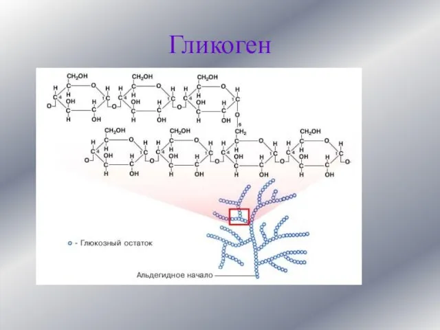 Гликоген