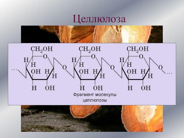 Целлюлоза