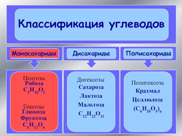 Моносахариды Дисахариды Полисахариды Пентозы Рибоза С5Н10О5 Гексозы Глюкоза Фруктоза С6Н12О6 Сахароза