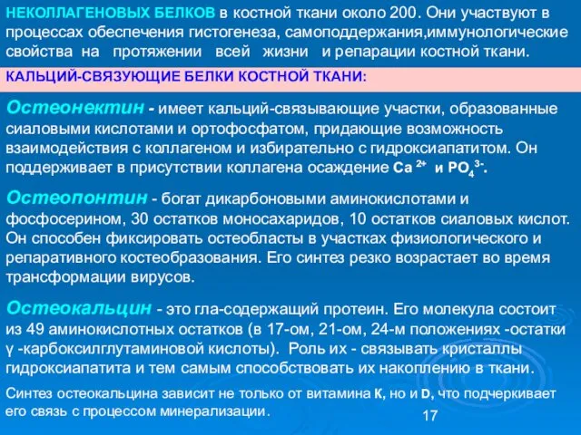 НЕКОЛЛАГЕНОВЫХ БЕЛКОВ в костной ткани около 200. Они участвуют в процессах