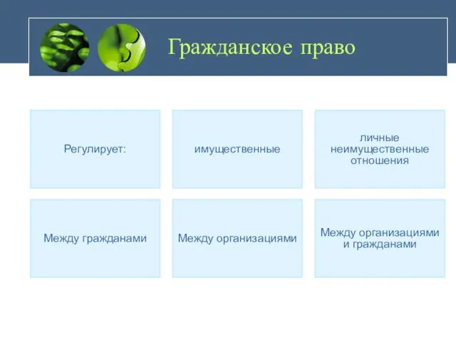 Гражданское право Регулирует: имущественные личные неимущественные отношения Между гражданами Между организациями Между организациями и гражданами