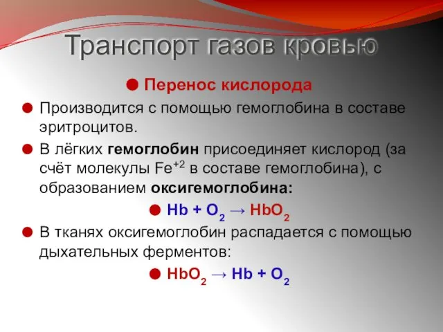 Транспорт газов кровью Перенос кислорода Производится с помощью гемоглобина в составе