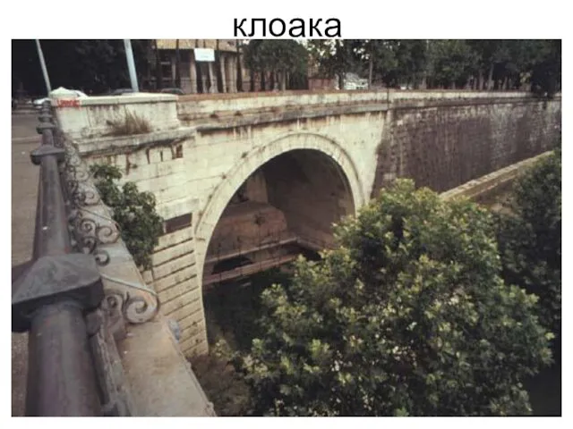 клоака