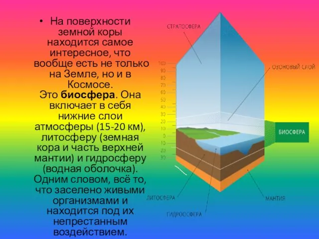 На поверхности земной коры находится самое интересное, что вообще есть не