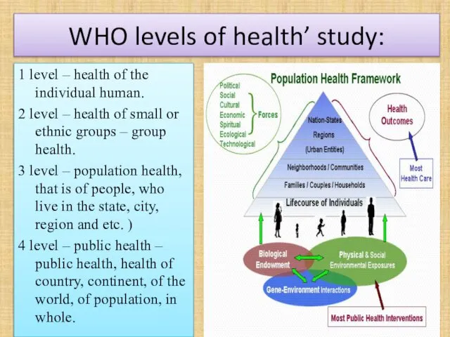 WHO levels of health’ study: 1 level – health of the