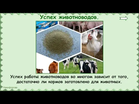 Успех работы животноводов во многом зависит от того, достаточно ли кормов заготовлено для животных. Успех животноводов.