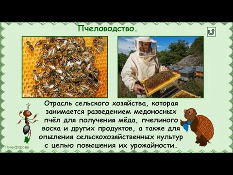 Пчеловодство. Отрасль сельского хозяйства, которая занимается разведением медоносных пчёл для получения