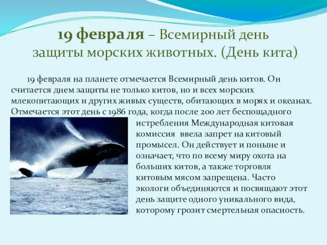 19 февраля – Всемирный день защиты морских животных. (День кита) истребления