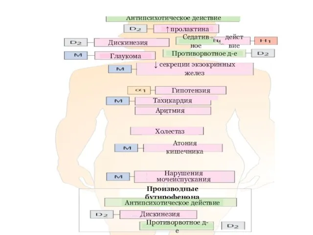 Дискинезия ↑ пролактина Глаукома ↓ секреции экзокринных желез Гипотензия Тахикардия Холестаз