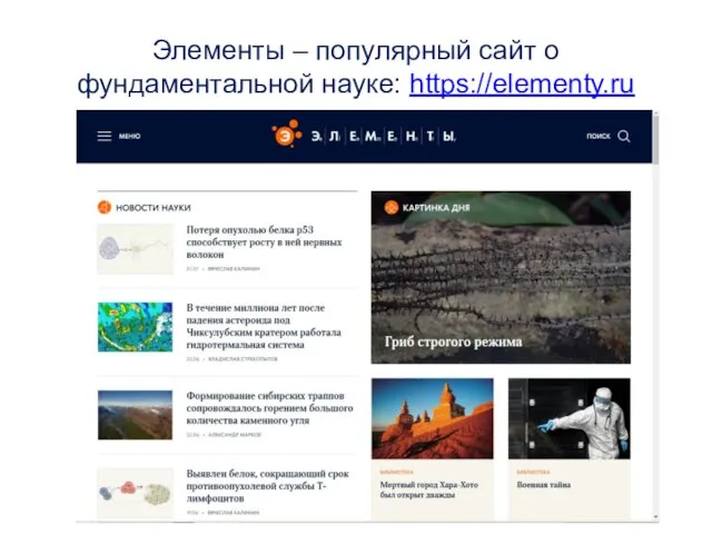 Элементы – популярный сайт о фундаментальной науке: https://elementy.ru